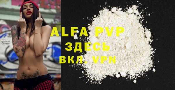 спиды Абаза