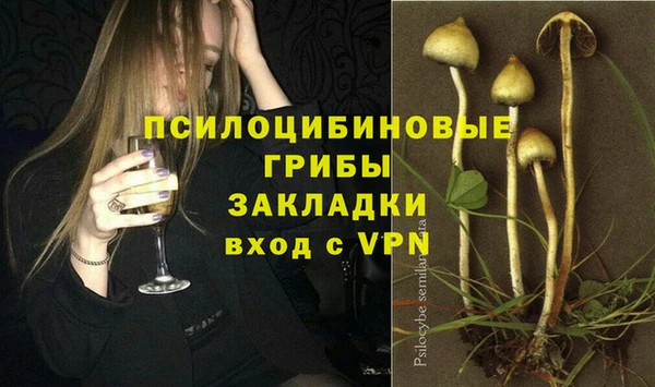 спиды Абдулино