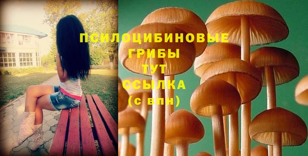 спиды Абдулино