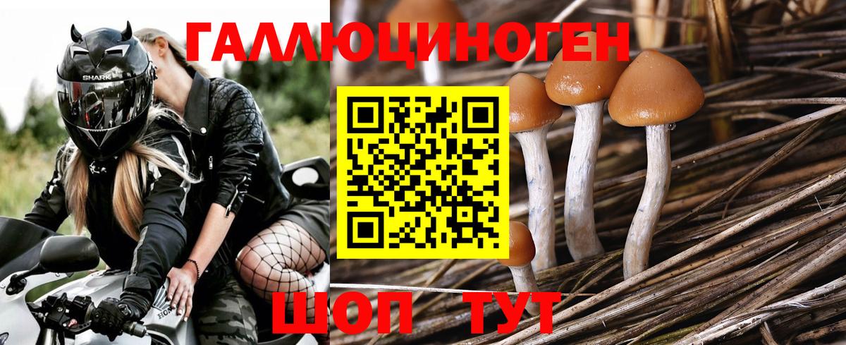 Ангарск  Псилоцибиновые грибы мухоморы  цена наркотик  Вход с VPN 