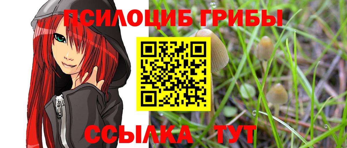Галлюциногенные грибы Psilocybine cubensis Ангарск